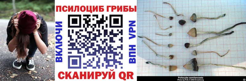 Галлюциногенные грибы ЛСД  где продают   Верхняя Салда 